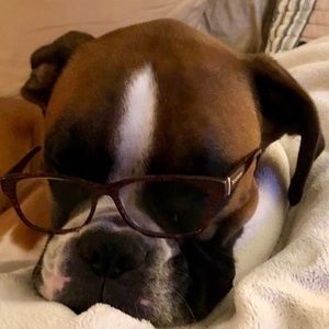 Meet your Posher, Sheldon